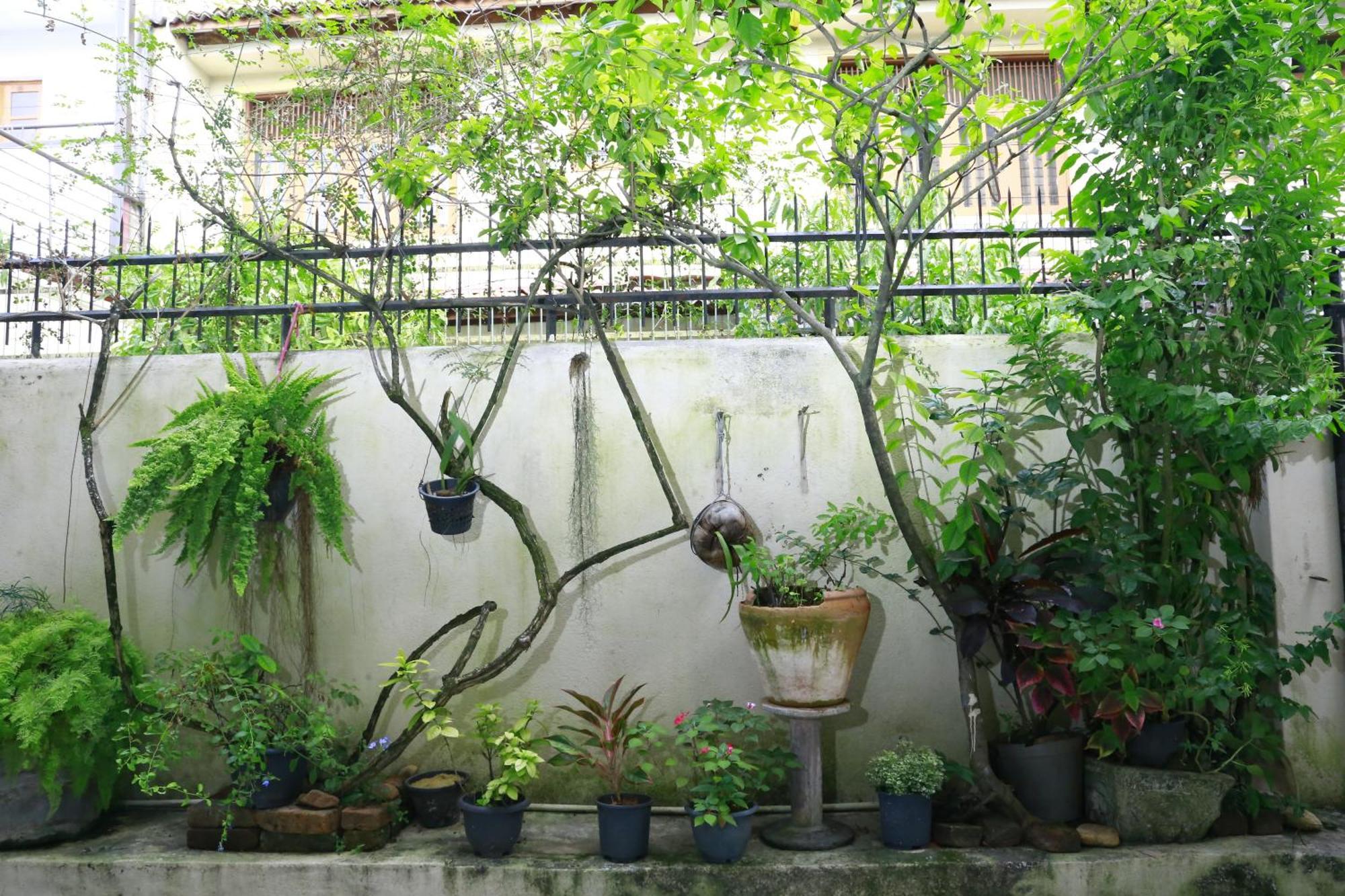 Oasis